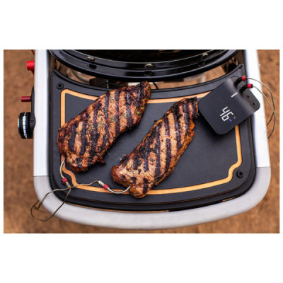 Plynový gril WEBER Traveler Gasgrill 9010079