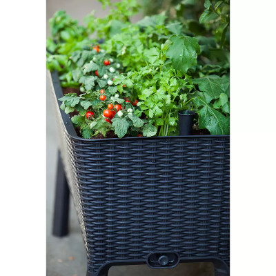 Vyvýšený záhon Easy Growing, 114 x 49,3 x 75,7 cm, plast, tmavě šedá - B