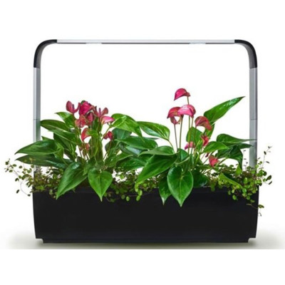 Plně automatizový květináč TREGREN T12 Kitchen Garden smart - A