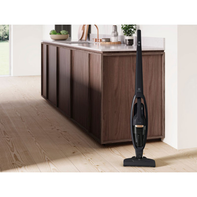 Tyčový vysavač ELECTROLUX WQ61-42GG, černý - A