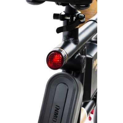 Elektrická koloběžka INMOTION P1F - A