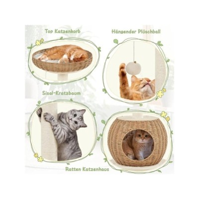  strom pro velké kočky