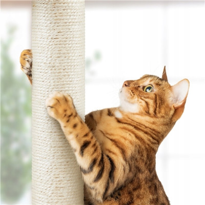 copy of Nastavitelné stropní škrabadlo 592974 light gray 226–265,5 cm - A