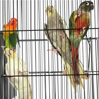 Klec pro ptáky 592034, obdélníková klec, ptačí klec, béžová, 77,5 x 46,5 x 46 cm - B