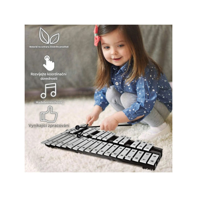 Xylofon MU10043 s taškou na paličky, černo/stříbrný - A