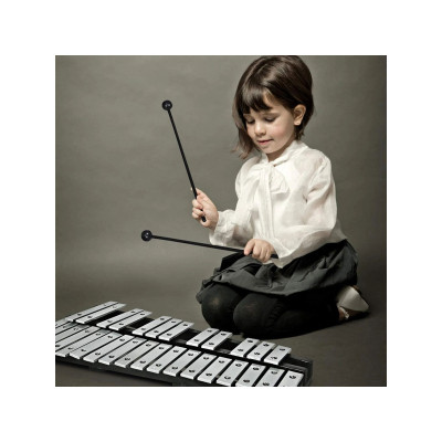 Xylofon MU10043 s taškou na paličky, černo/stříbrný - A