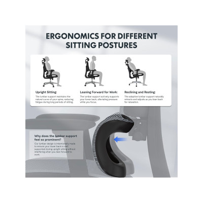 Ergonomická kancelářská židle C7B-Air, nosnost 136 kg, černá - B