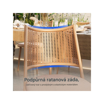 Sada 4 jídelních židlí DC5-Z-EUV2 - A