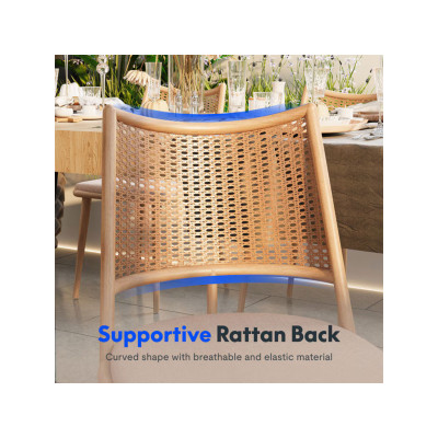 Sada 4 jídelních židlí DC5-Z-EUV2 - A