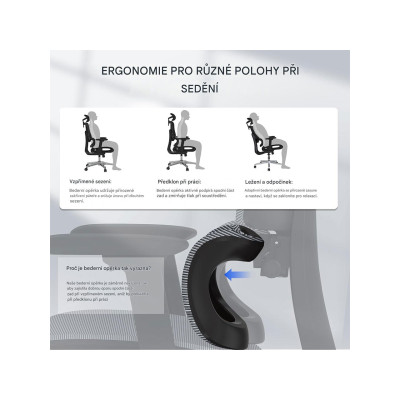 Ergonomická kancelářská židle ErgoX C7B-Lite-V2 s výškově nastavitelným sedákem, černá - B