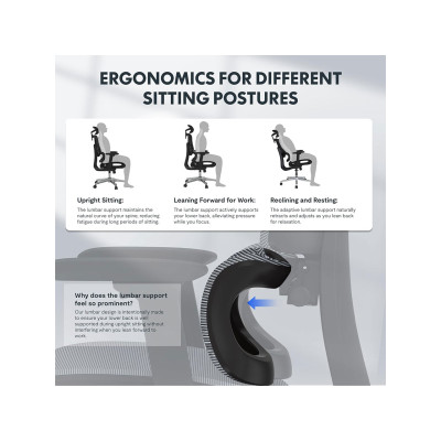 copy of Ergonomická kancelářská židle ErgoX s výškově nastavitelným sedákem, černá - A