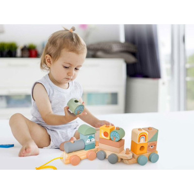 Dětský dřevěný vláček TM10076, 3dílná sada s kostkami - N