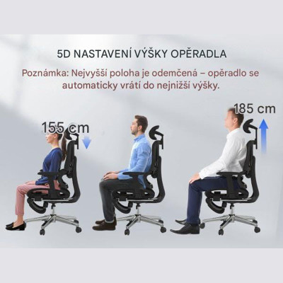 Ergonomická kancelářská židle C7DG-Lite-V2 dark gray, 3D opěrka hlavy, nastavitelné opěradlo - A