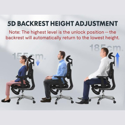 Ergonomická kancelářská židle C7DG-Lite-V2 dark gray, 3D opěrka hlavy, nastavitelné opěradlo - A