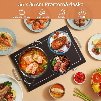 Elektrický ohřívač potravin ES10259DE-DK, ohřívací deska 56 x 36 cm - B