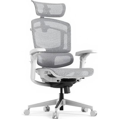 Ergonomická kancelářská židle OS250G-M1 ErgoX Pro, nosnost 250 kg, šedá - A