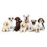Breeding supplies